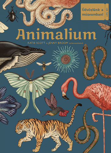 Animalium
